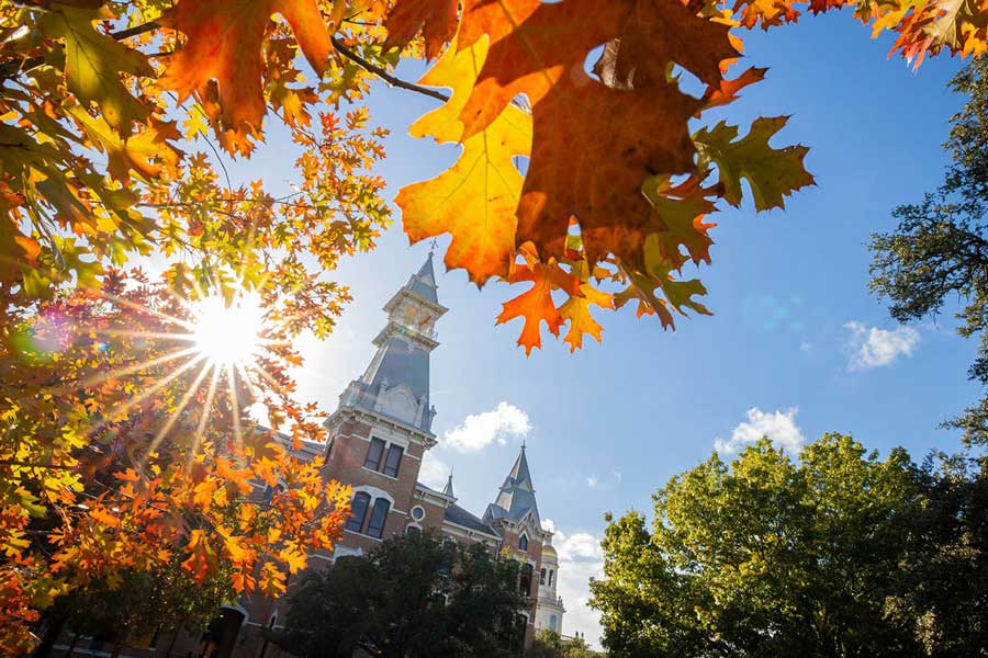 Baylor Quad
