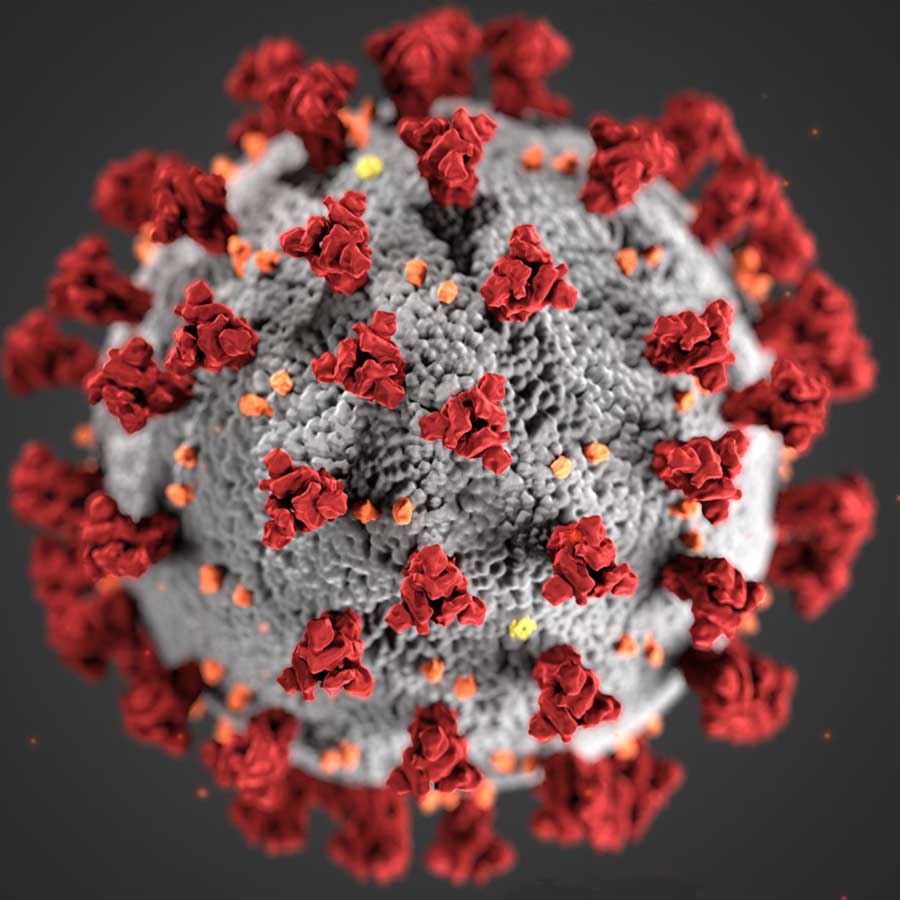 Spring 2020 - Coronavirus molecule - story