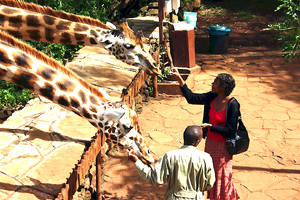 Into Africa