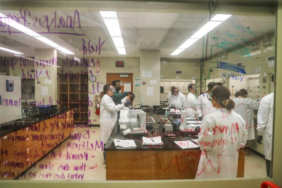 Researchers in a Baylor lab