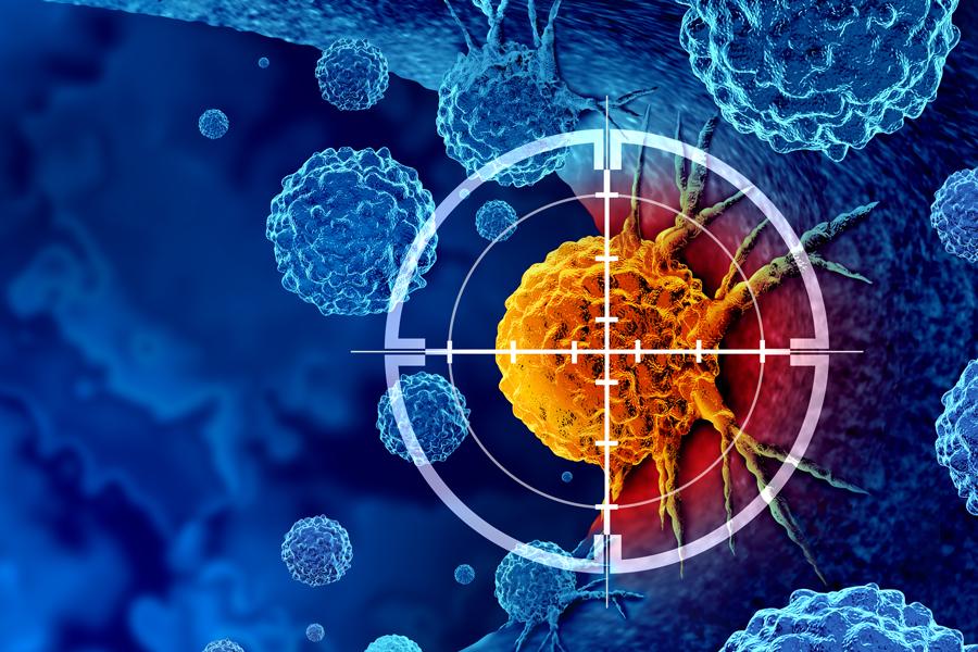 Targeting cancer cells 